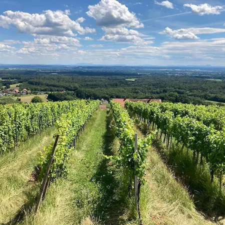 Weintsicht Am Seindl *