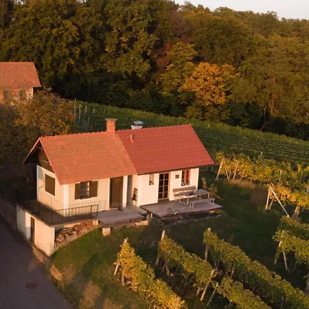 Weintsicht Am Seindl Tatil Evi *