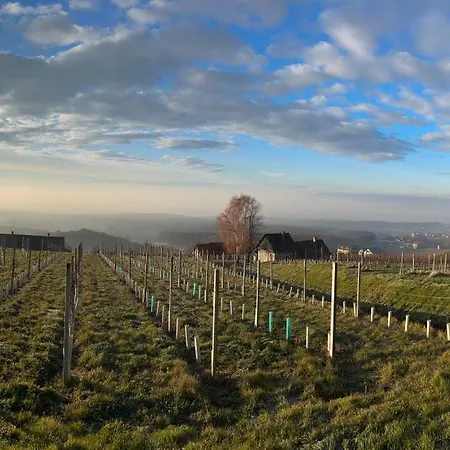 Weintsicht Am Seindl Tatil Evi