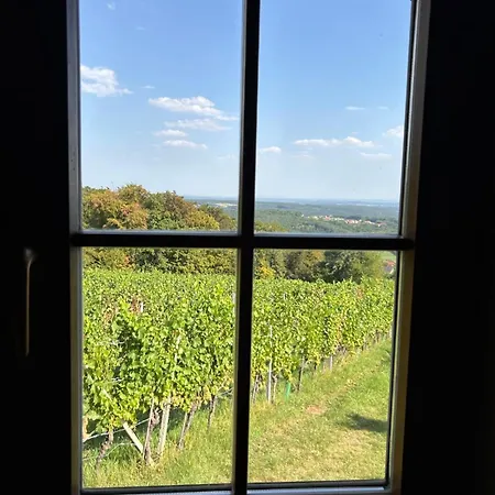 Weintsicht Am Seindl Tatil Evi