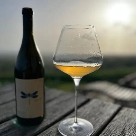 Weintsicht Am Seindl Tatil Evi Klöch