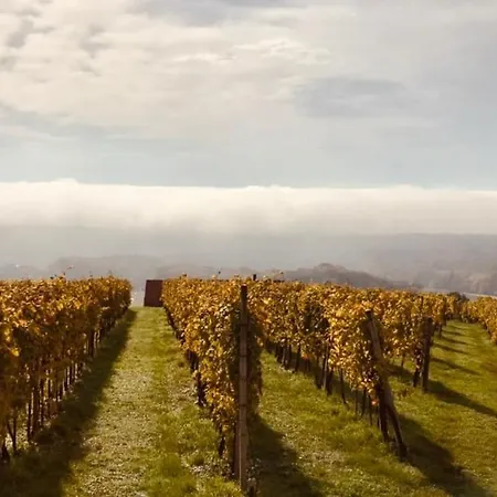 Weintsicht Am Seindl Klöch