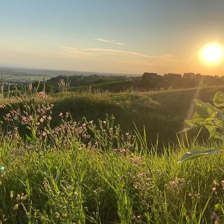 Nyaraló Weintsicht Am Seindl