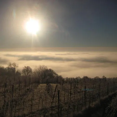 Weintsicht Am Seindl *