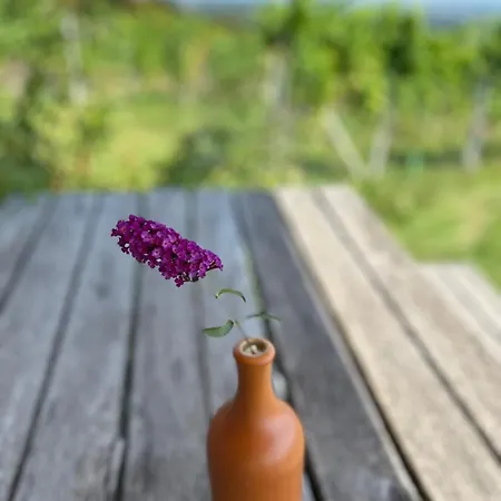 Weintsicht Am Seindl Klöch