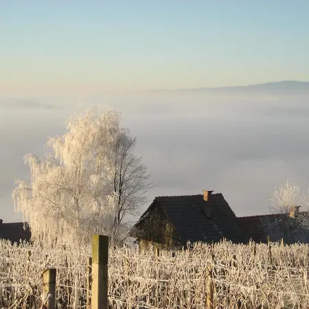 Weintsicht Am Seindl Nyaraló