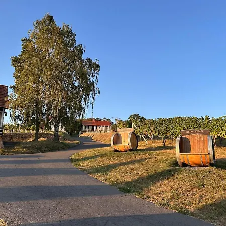 Weintsicht Am Seindl *