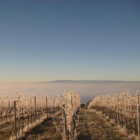 Weintsicht Am Seindl Tatil Evi