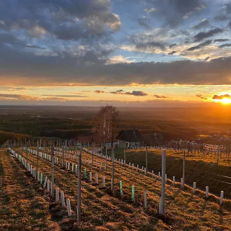 Weintsicht Am Seindl