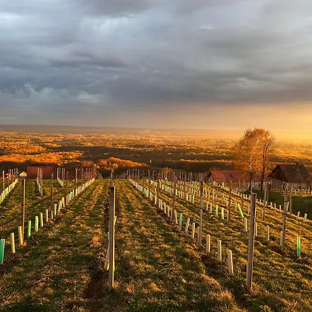 Nyaraló Weintsicht Am Seindl