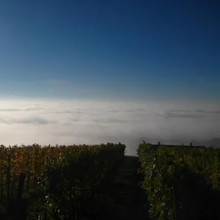 Weintsicht Am Seindl