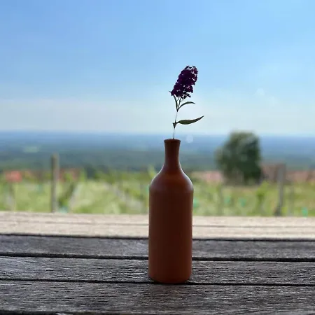 Weintsicht Am Seindl *