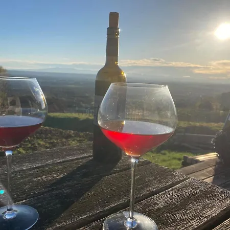 Weintsicht Am Seindl Klöch