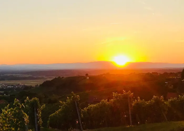 Weintsicht Am Seindl Nyaraló *