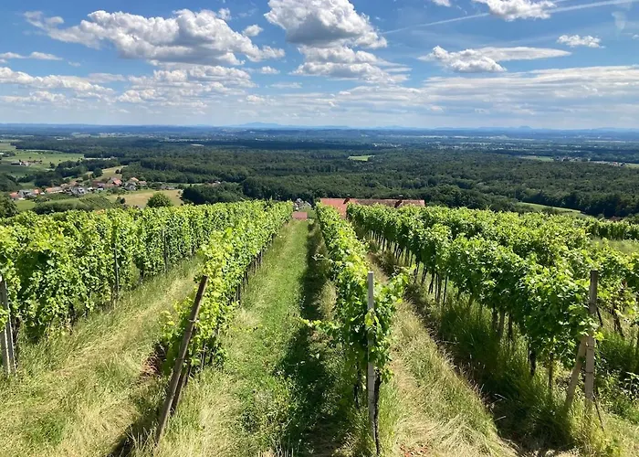 Weintsicht Am Seindl *