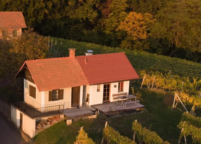 Weintsicht Am Seindl Nyaraló *