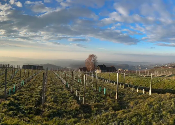 Weintsicht Am Seindl 度假居