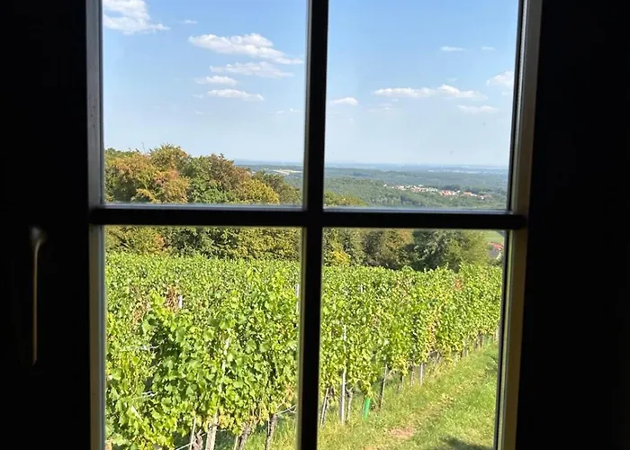 Weintsicht Am Seindl 度假居