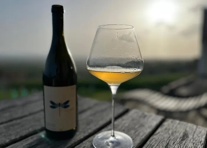 Weintsicht Am Seindl 度假居 Klöch