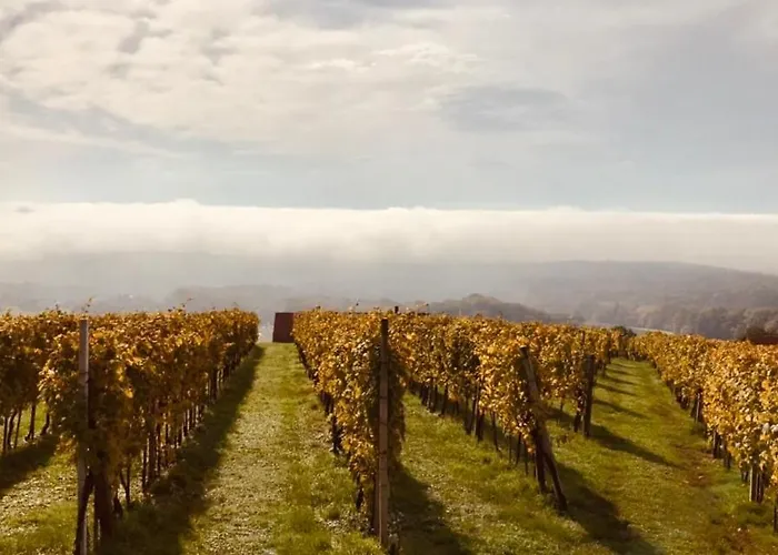 Weintsicht Am Seindl Klöch