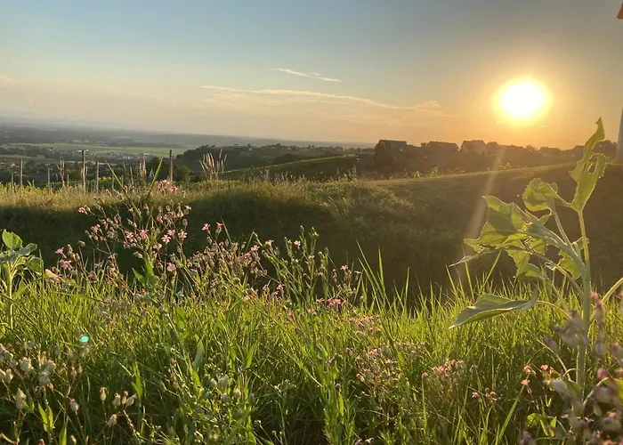 度假居 Weintsicht Am Seindl