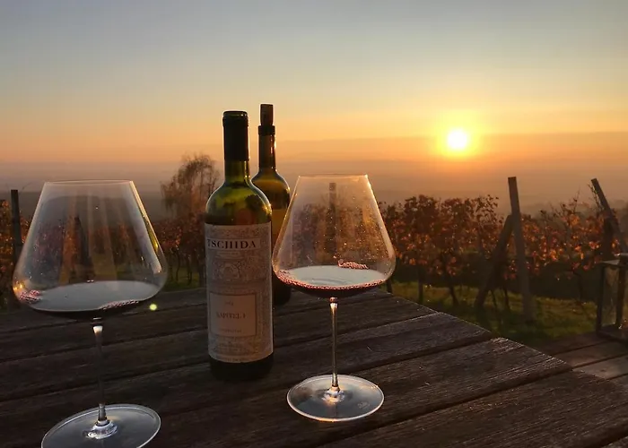 Weintsicht Am Seindl 度假居 *