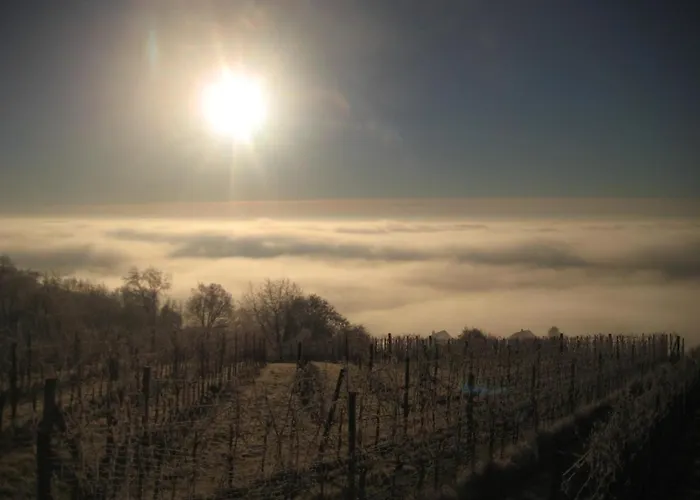 Weintsicht Am Seindl *