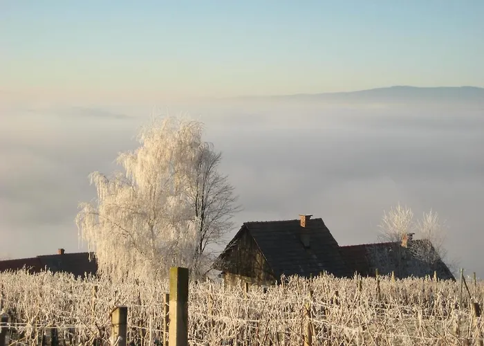 Weintsicht Am Seindl 度假居