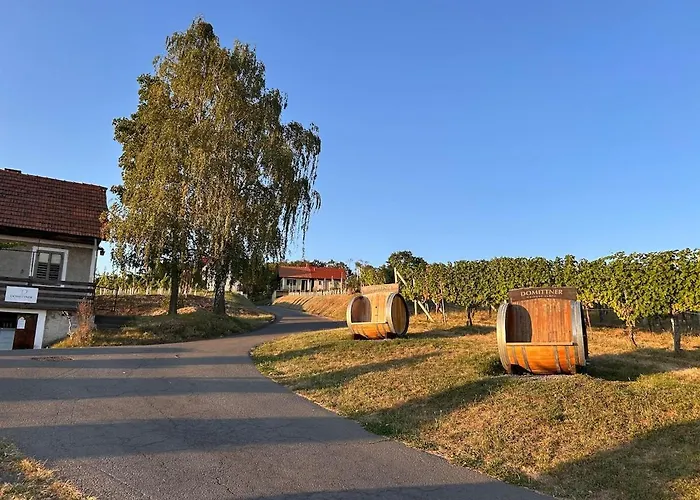 Weintsicht Am Seindl *