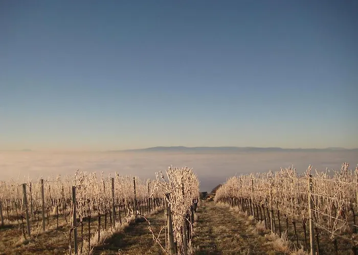 Weintsicht Am Seindl 度假居