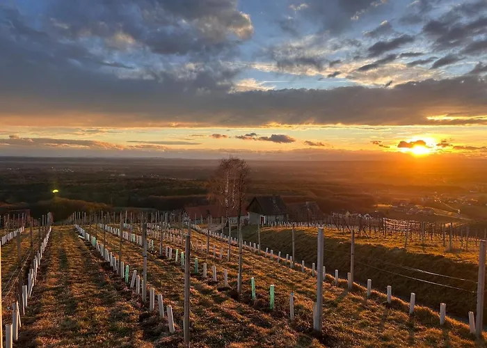 Weintsicht Am Seindl