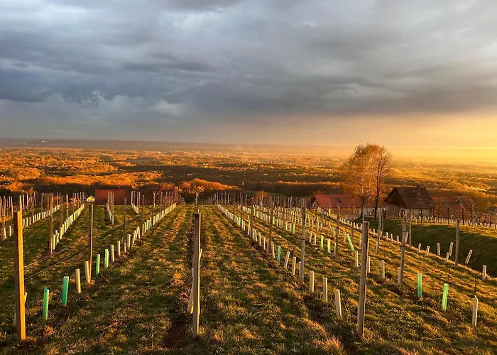 度假居 Weintsicht Am Seindl