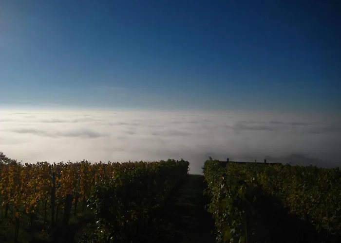 Weintsicht Am Seindl